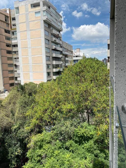 Black Loft. Moderno Y Nuevo, Super Ubicado. 墨西哥城 外观 照片