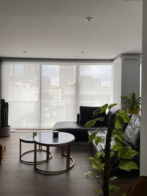 Black Loft. Moderno Y Nuevo, Super Ubicado. 墨西哥城 外观 照片