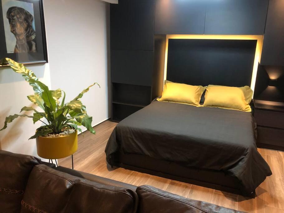 Black Loft. Moderno Y Nuevo, Super Ubicado. 墨西哥城 外观 照片