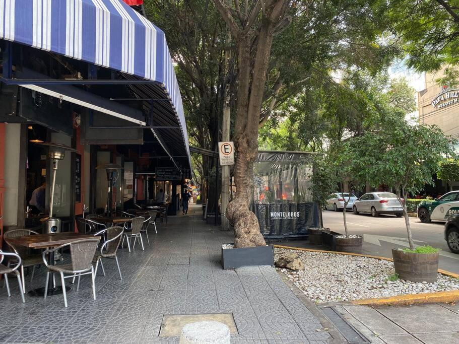 Black Loft. Moderno Y Nuevo, Super Ubicado. 墨西哥城 外观 照片
